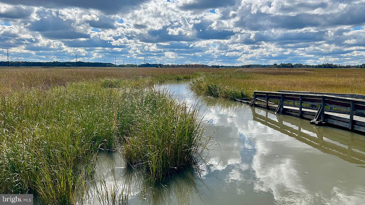 KITTS HUMMOCK - Residential