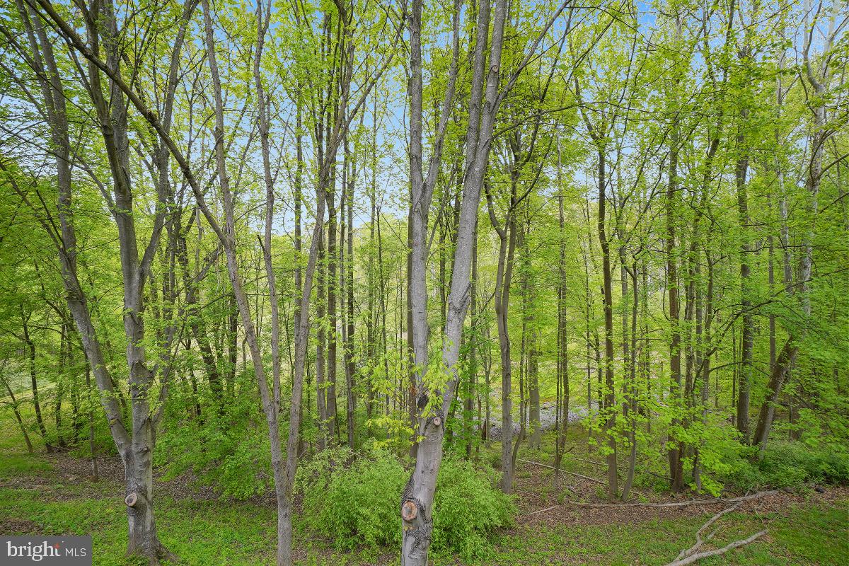 GERMANTOWN ESTATES - Residential