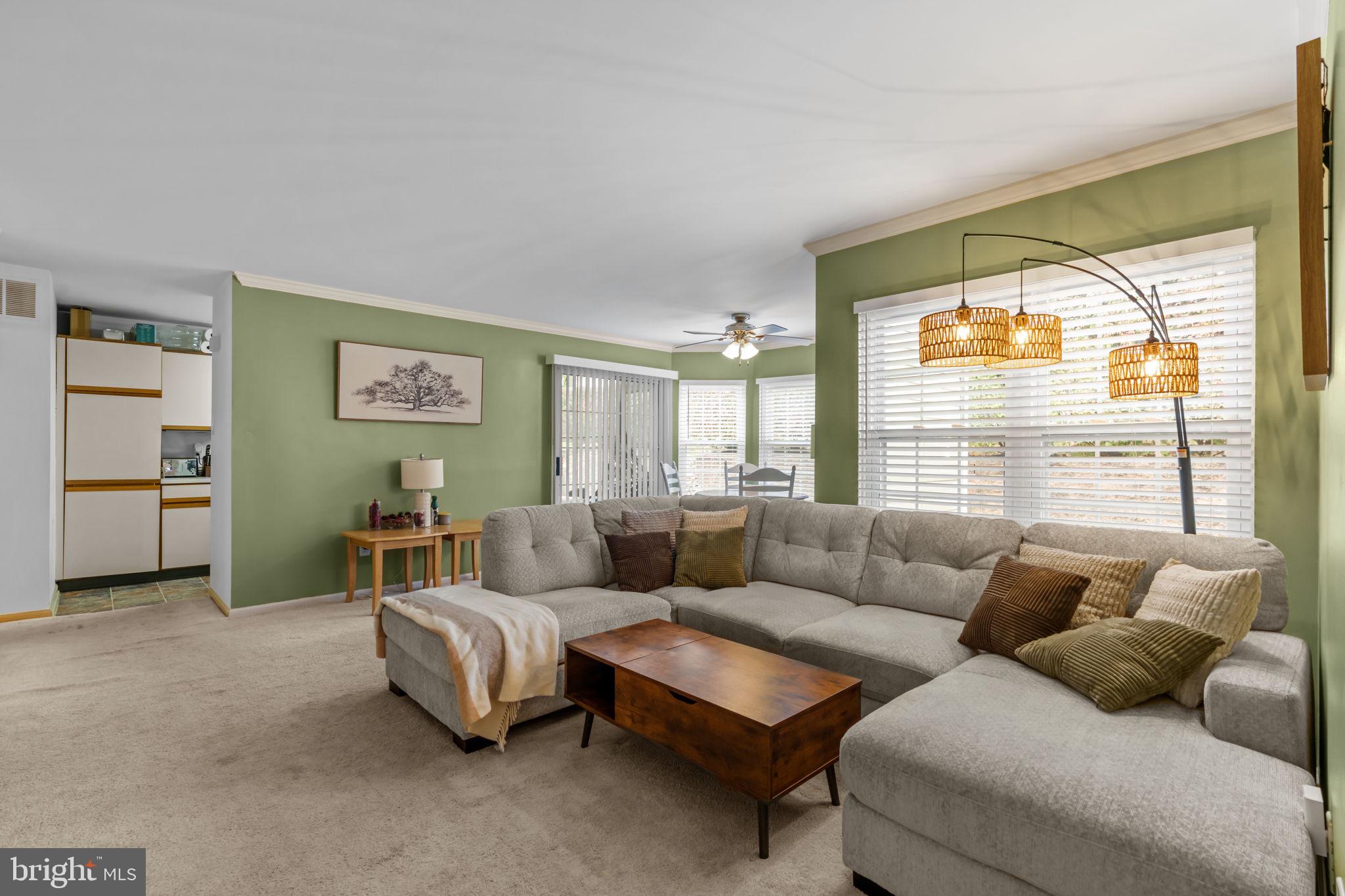 VILLAGE SHIRES - Residential