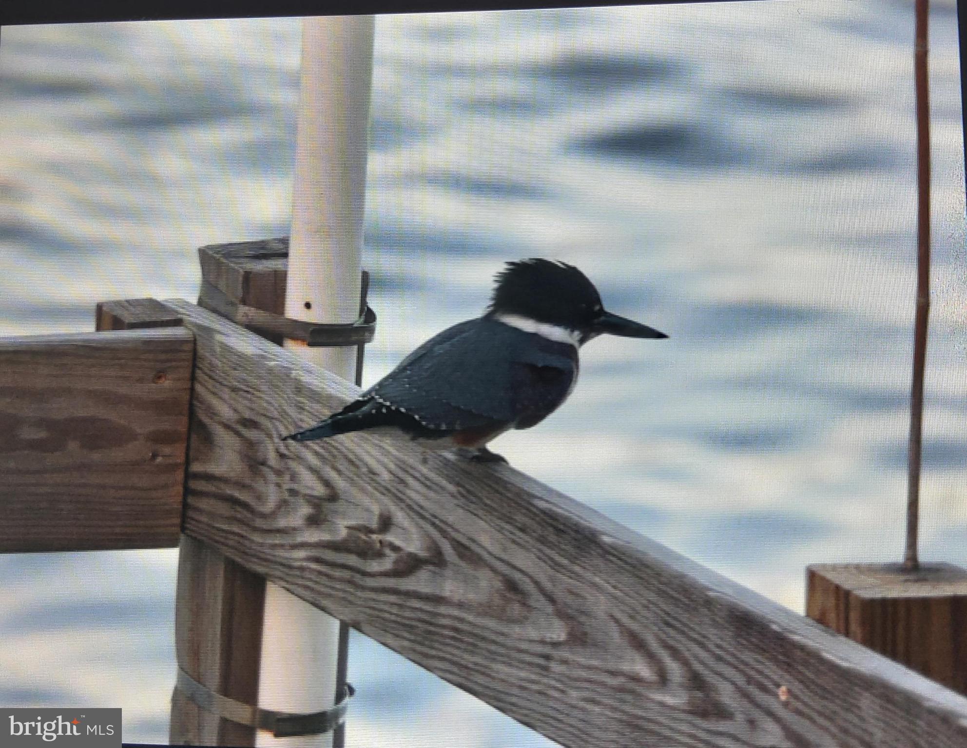 BROADKILL BEACH - Residential