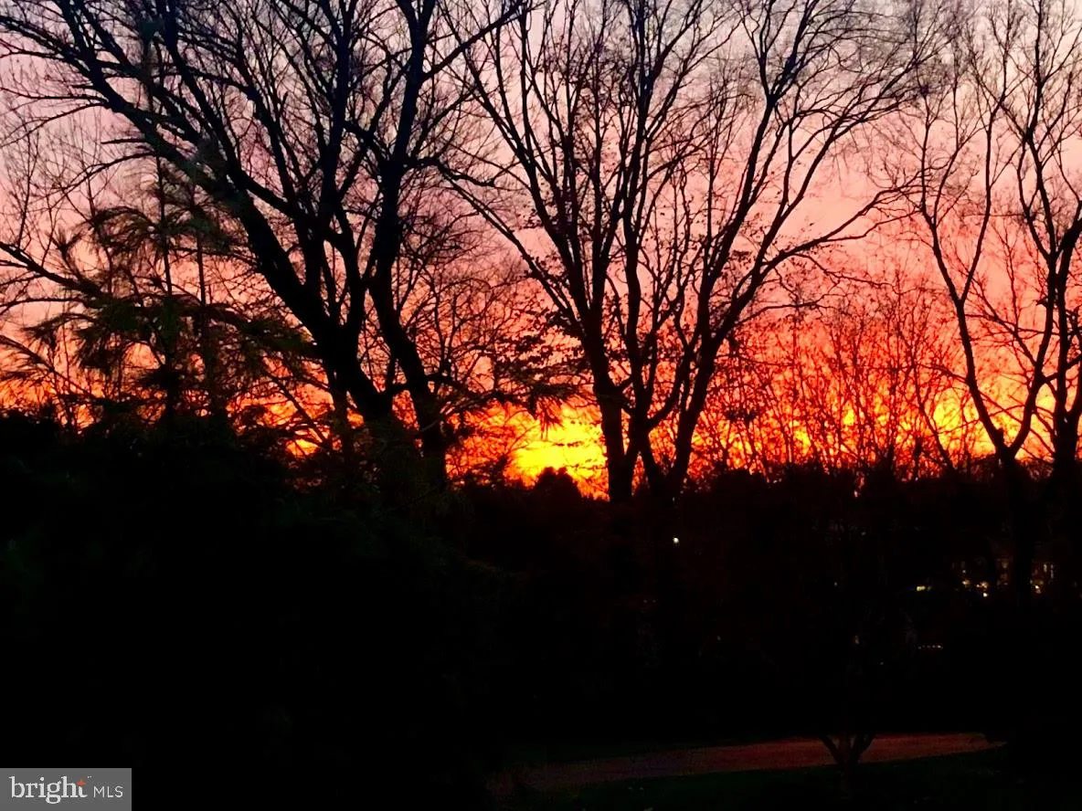 Camp Hill, Pennsylvania 17011, United States, 5 Bedrooms Bedrooms, ,5 BathroomsBathrooms,Residential,Coming Soon,95843