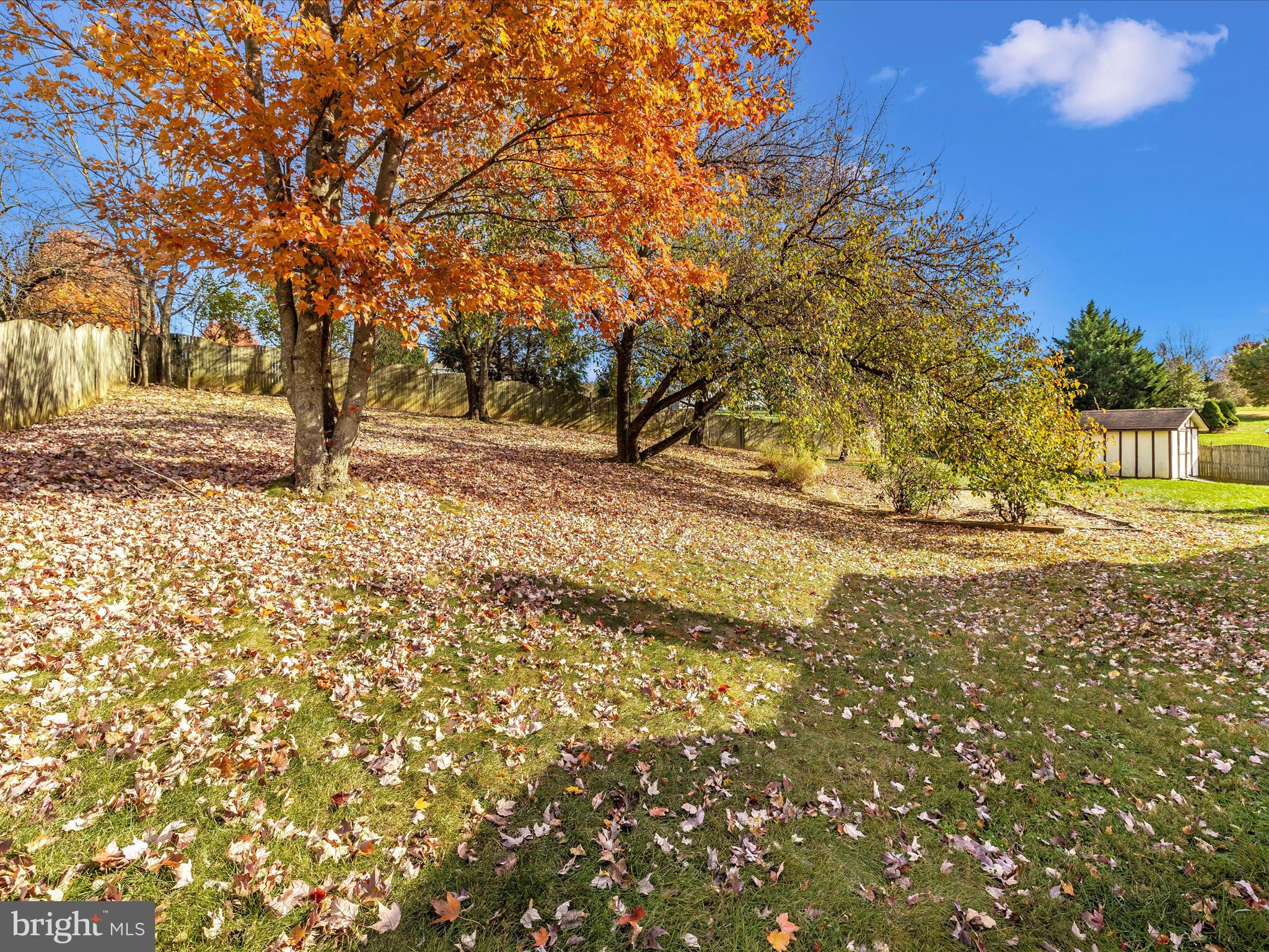 SUNRISE OF FREDERICK - Residential