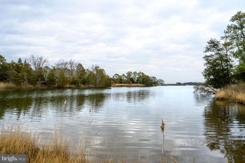 5211 HERON ROAD CAMBRIDGE MD 21613