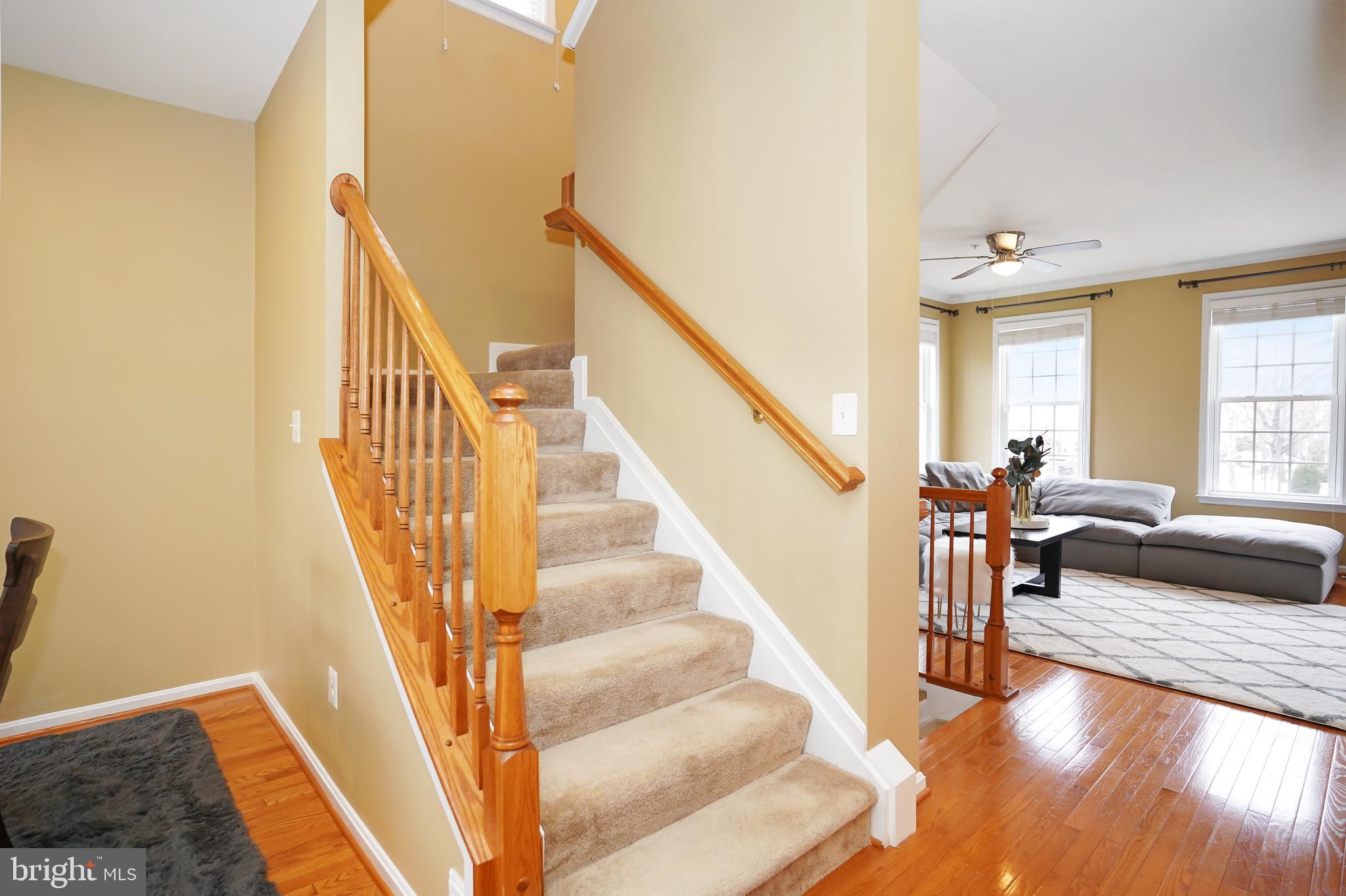 CHERRYTREE PARK - Residential