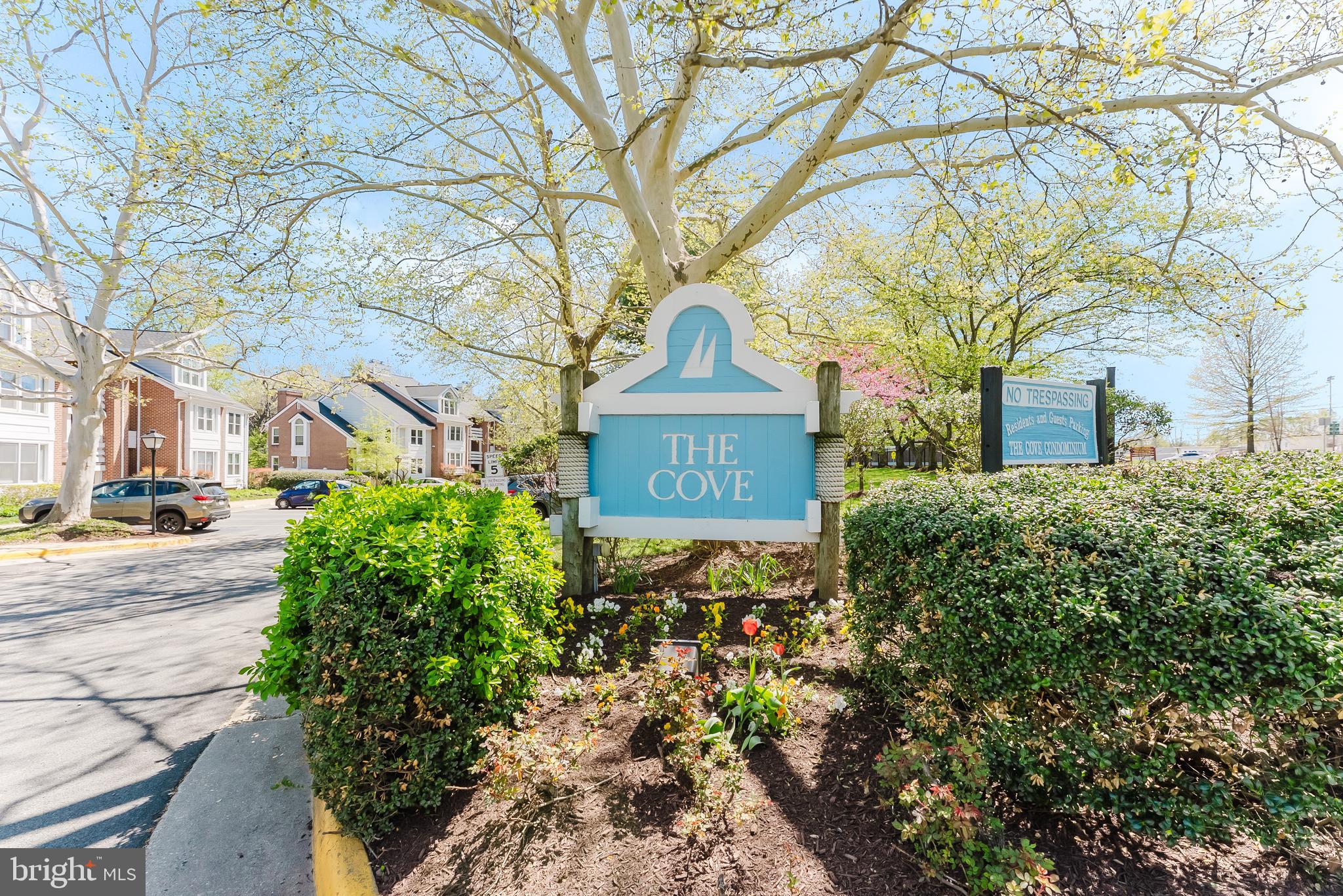 THE COVE - Residential