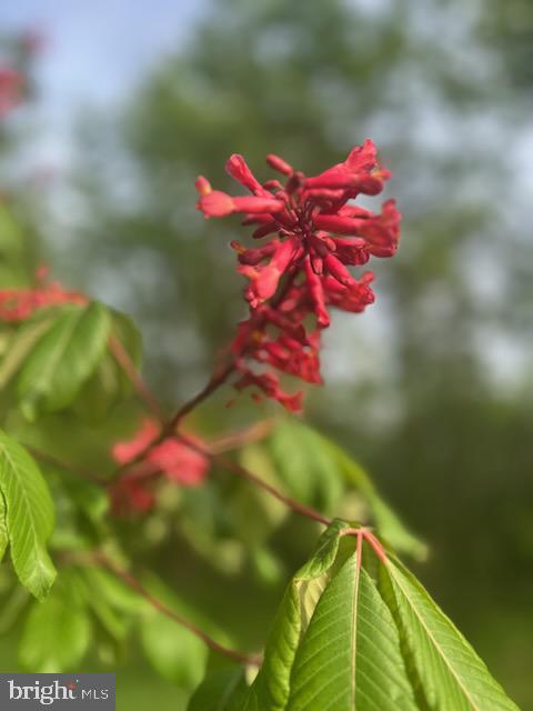 HOOVER FARM - Residential