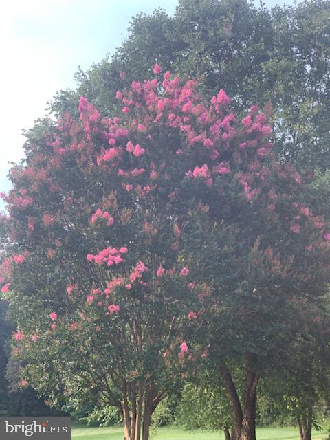 HOOVER FARM - Residential