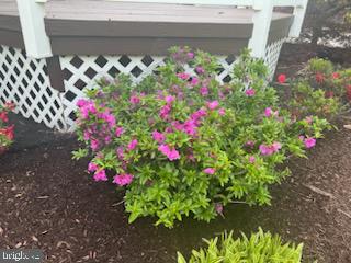 HOOVER FARM - Residential