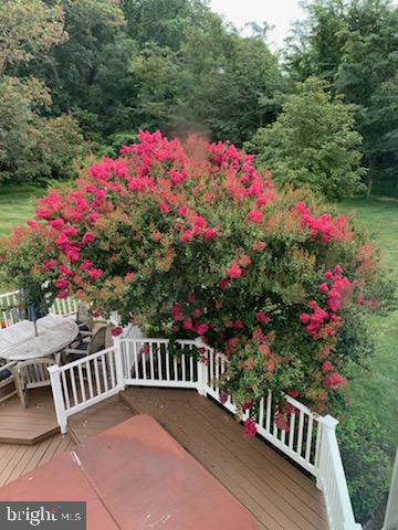 HOOVER FARM - Residential