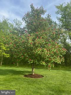 HOOVER FARM - Residential