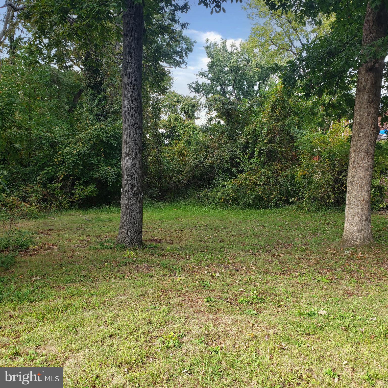 CATONSVILLE MANOR - Residential