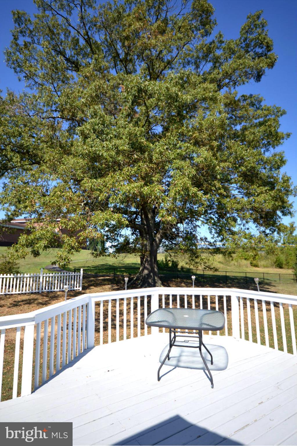 MIRACLE VALLEY - Residential Lease