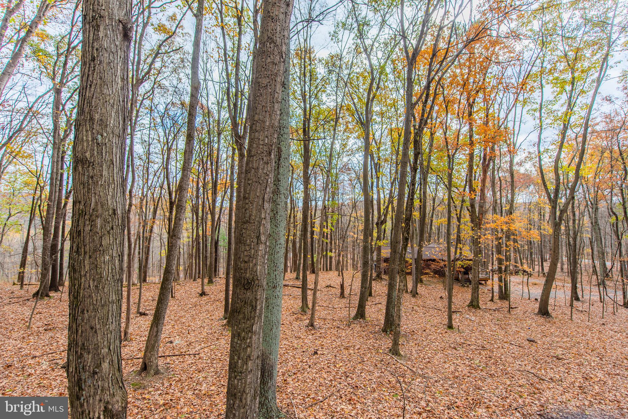 COOLFONT - Residential