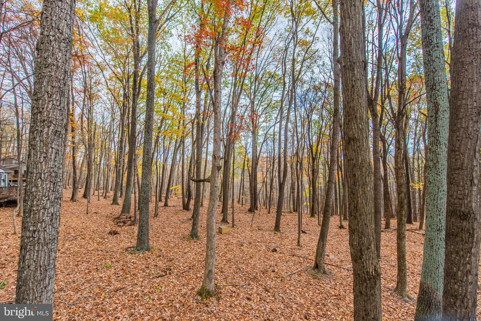 COOLFONT - Residential