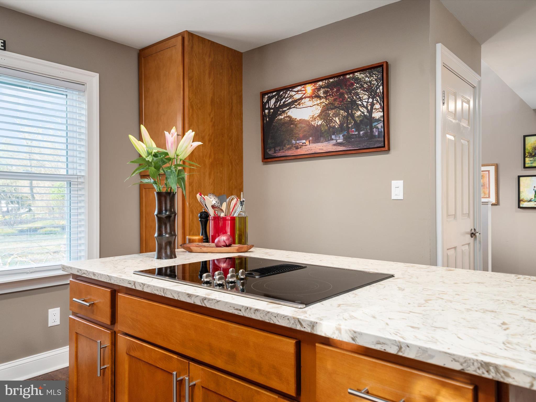 WINDMILLS OF ANNAPOLIS - Residential