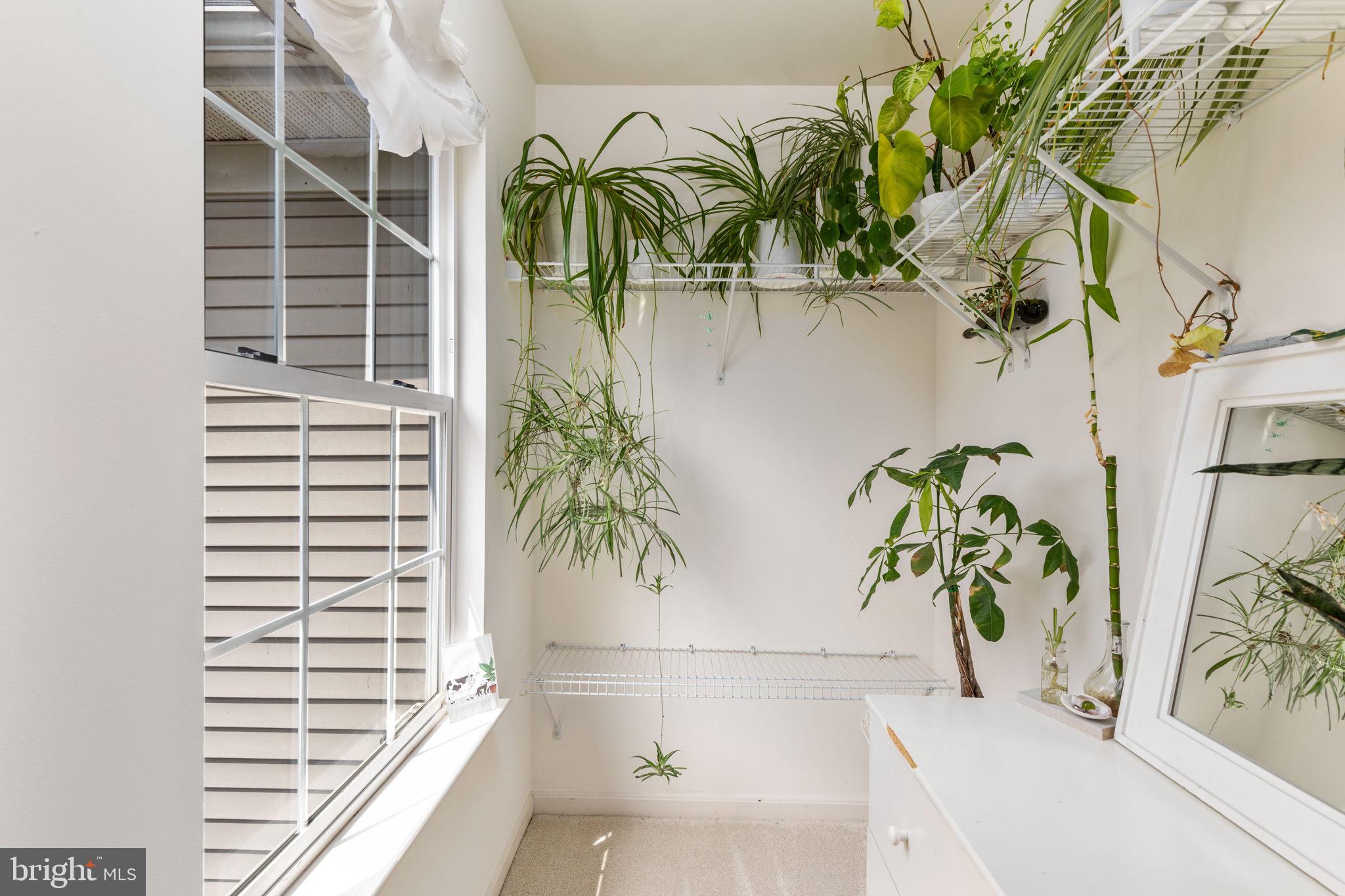 OLD DOMINION VALLEY - Residential