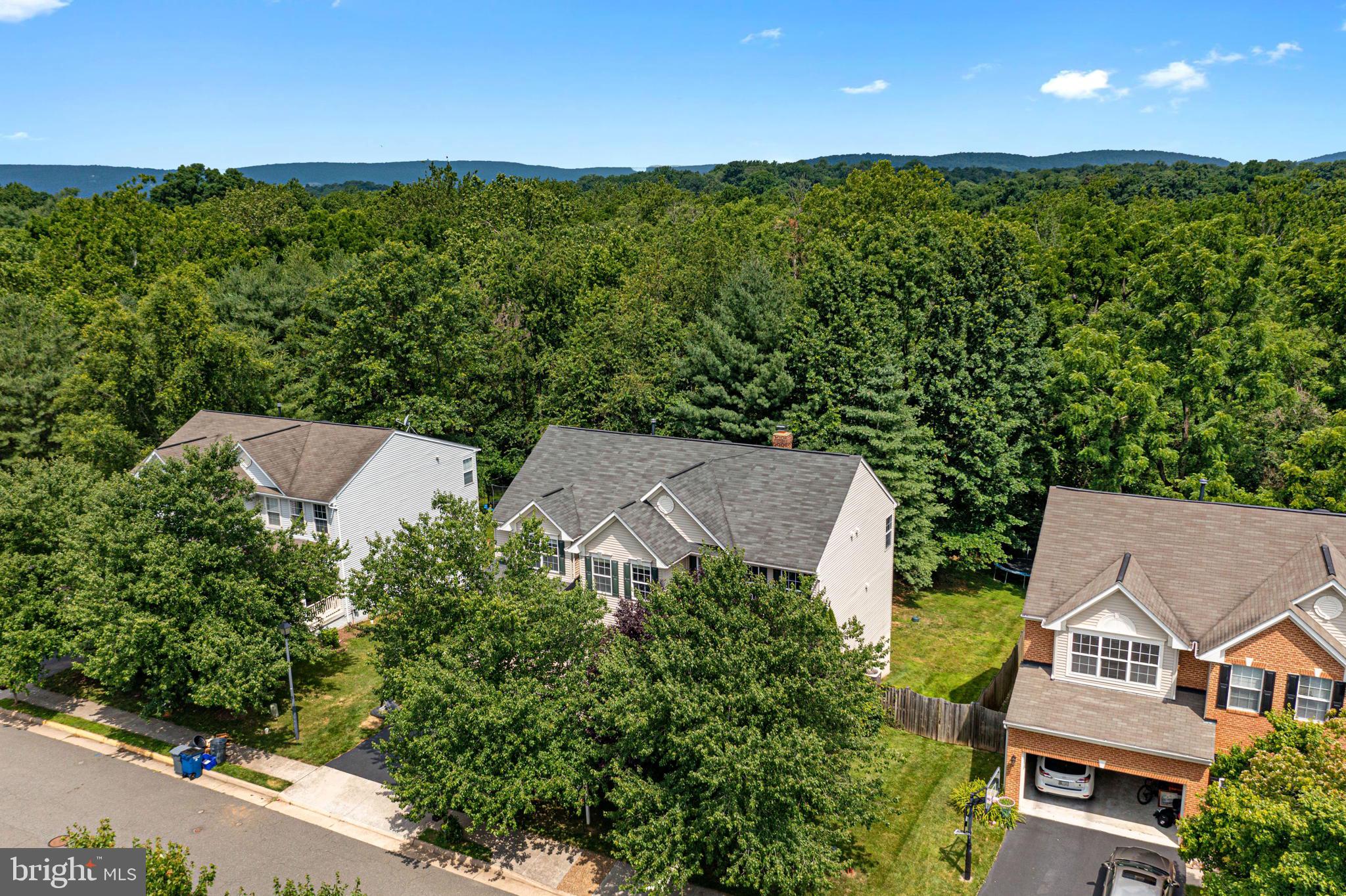 OLD DOMINION VALLEY - Residential