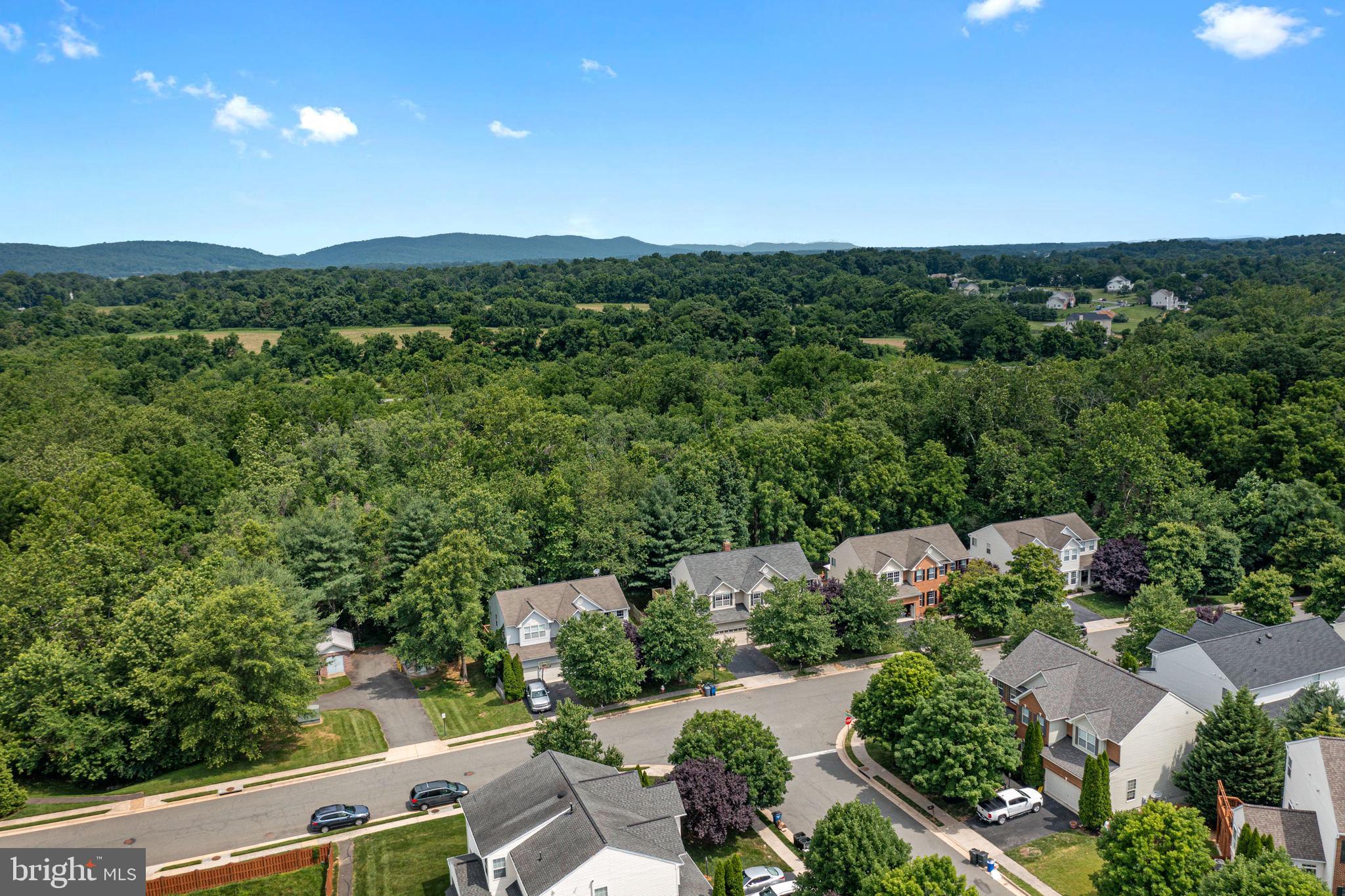 OLD DOMINION VALLEY - Residential