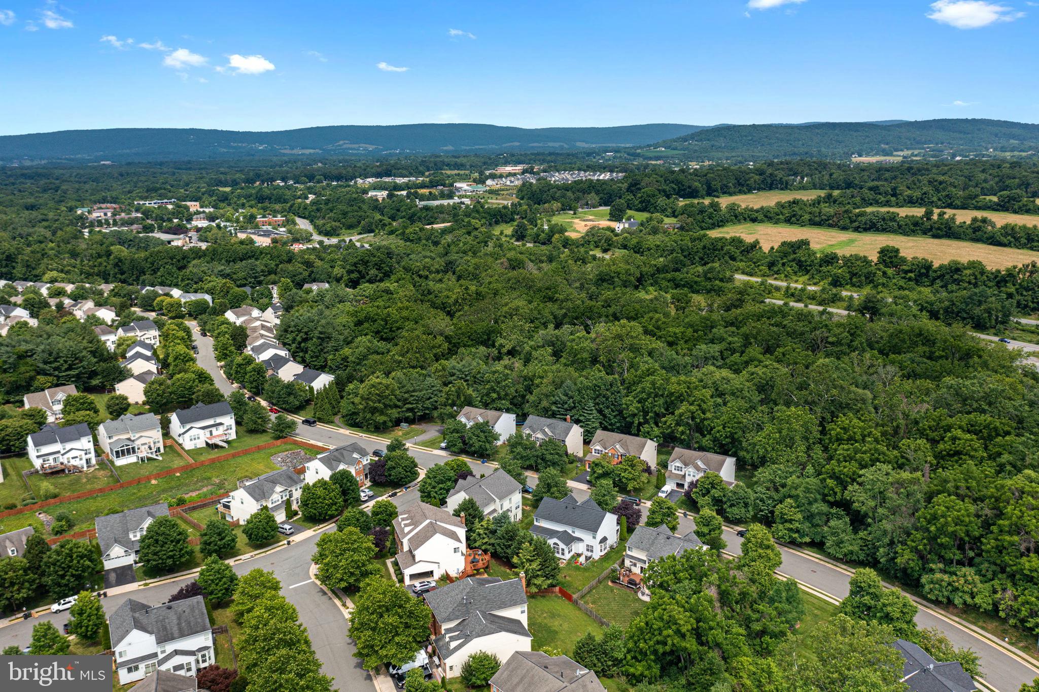 OLD DOMINION VALLEY - Residential