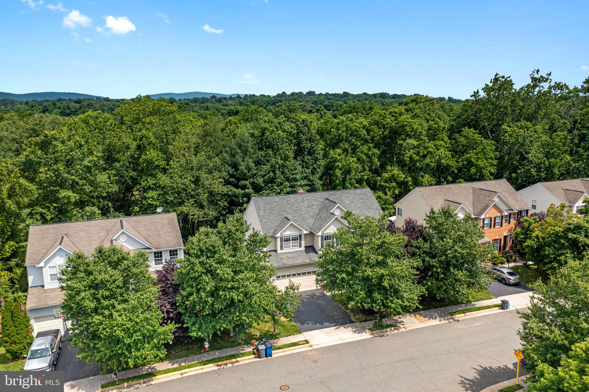 OLD DOMINION VALLEY - Residential