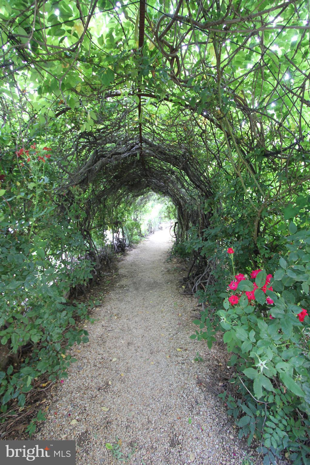 ROTONDA - Residential Lease