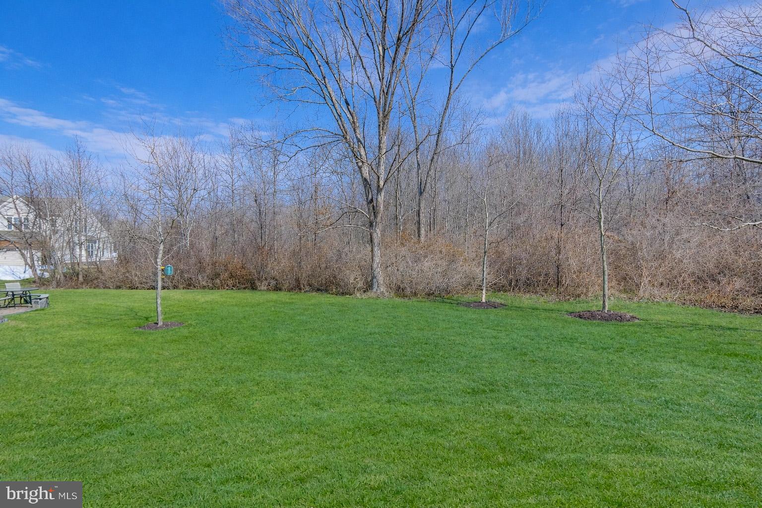 ELLICOTT MEADOWS - Residential