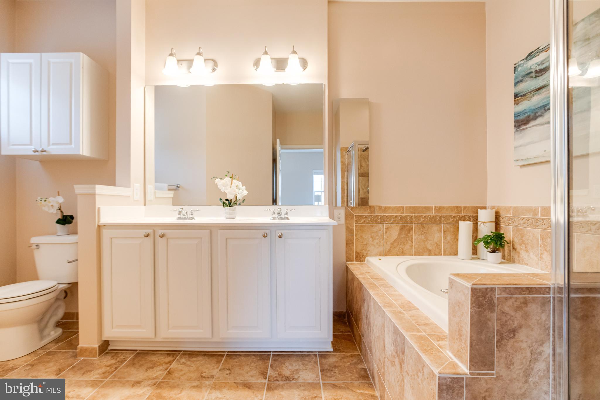 ELLICOTT MEADOWS - Residential