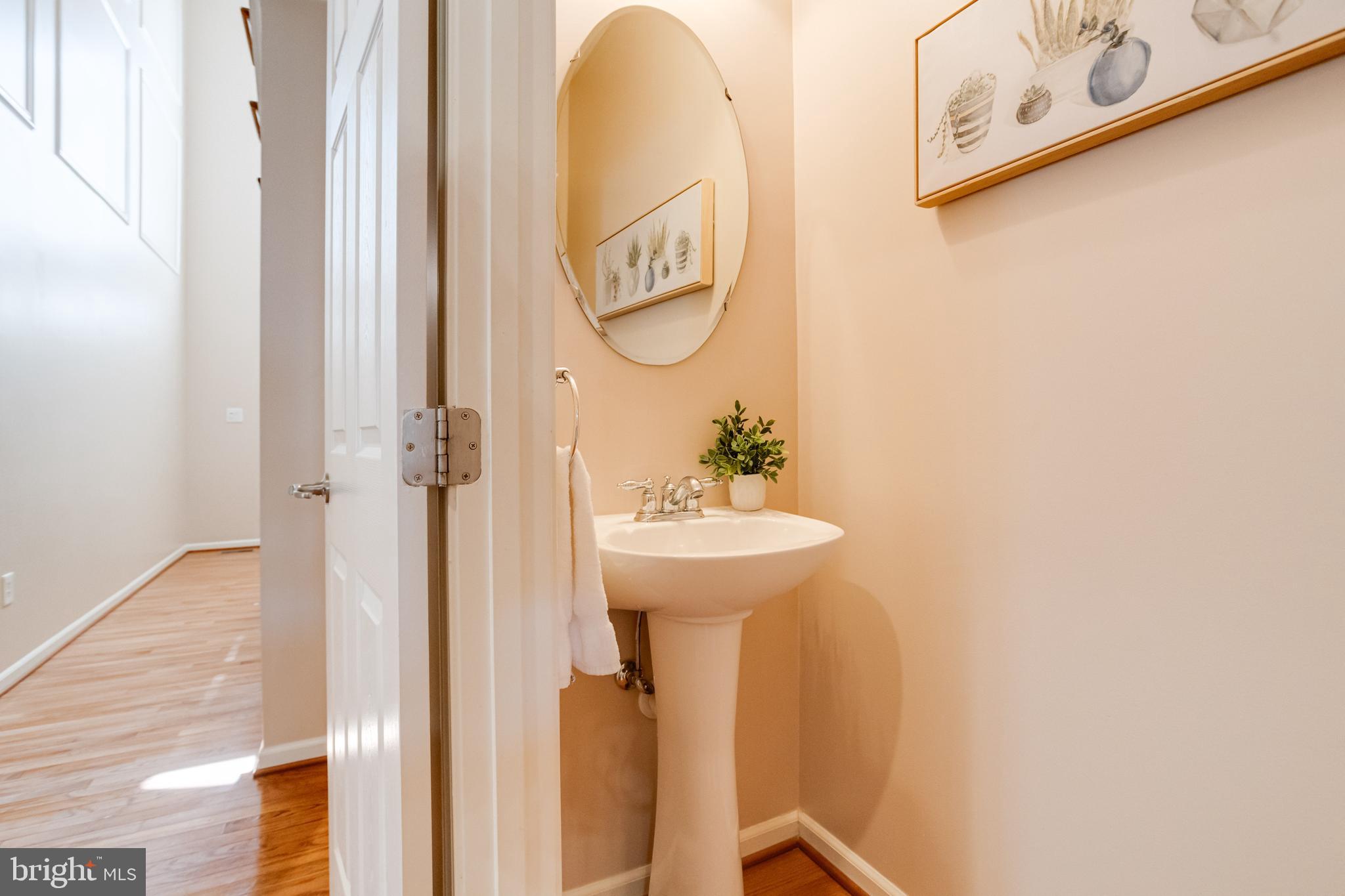 ELLICOTT MEADOWS - Residential