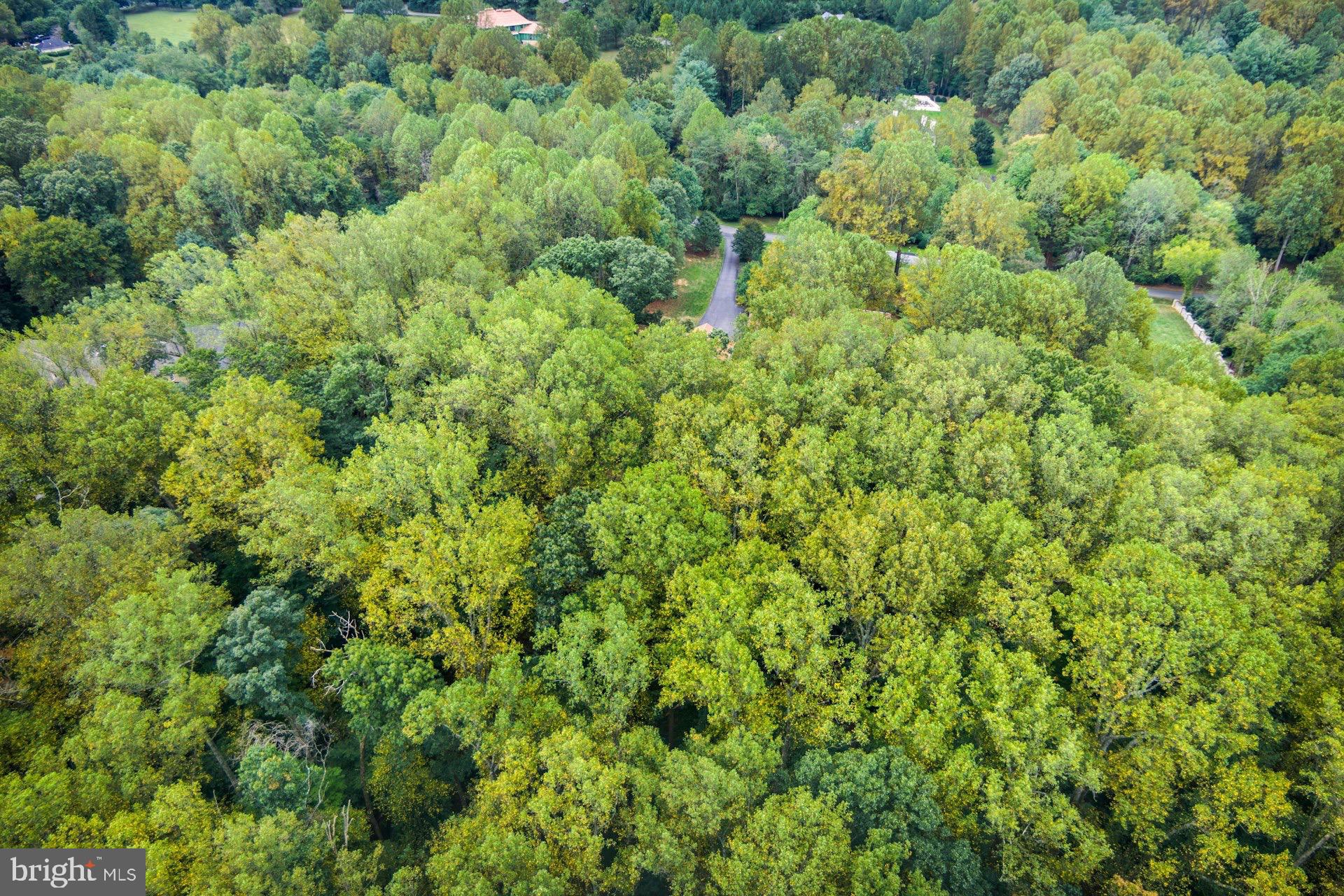 WOODSFIELD - Residential