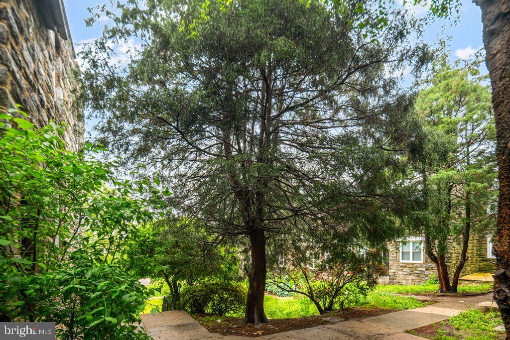 WYNNEFIELD - Residential Income