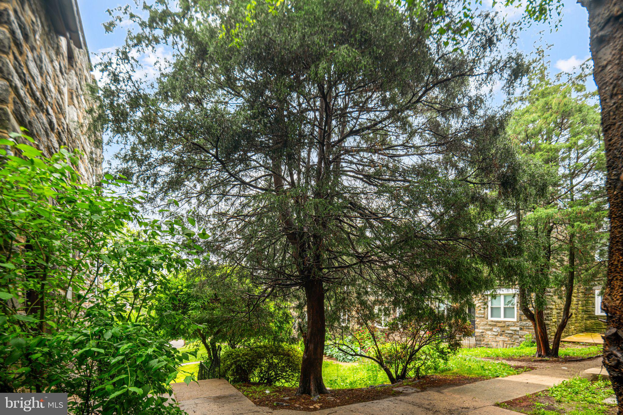 WYNNEFIELD - Residential Income