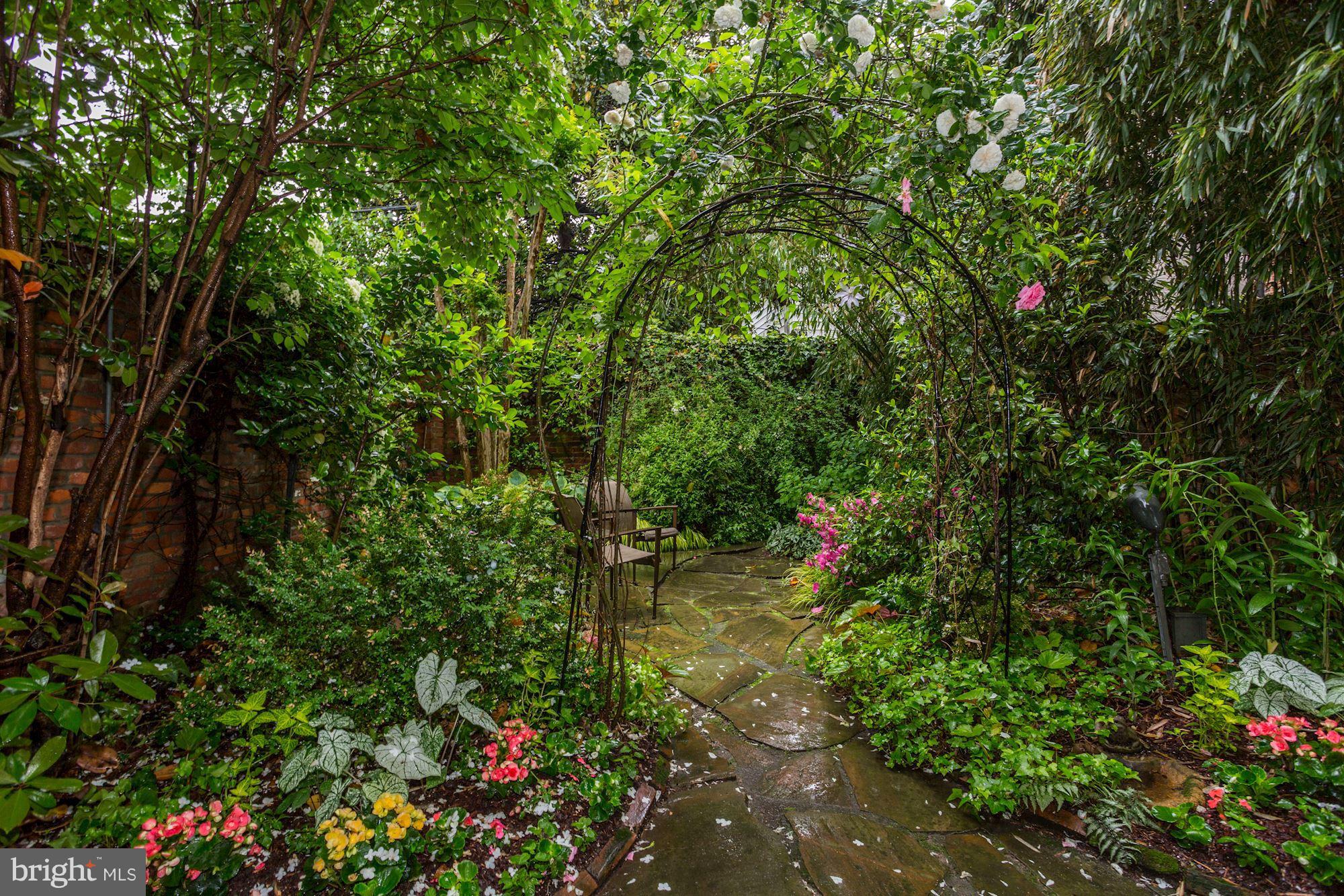 GEORGETOWN - Residential