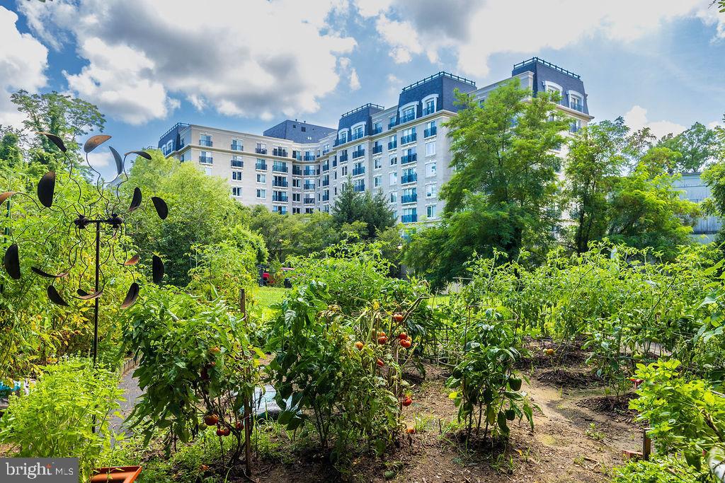 PARK PLACE - Residential
