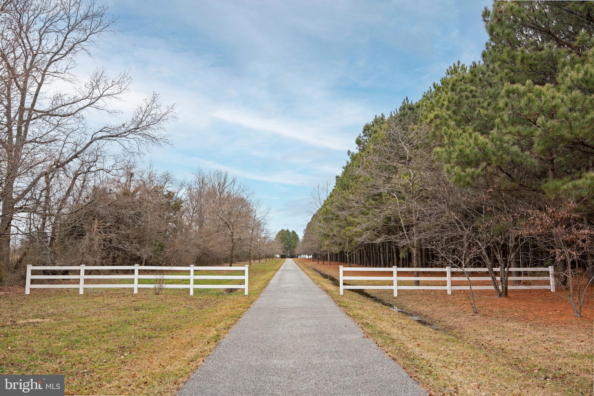 8781 TILGHMAN ISLAND ROAD