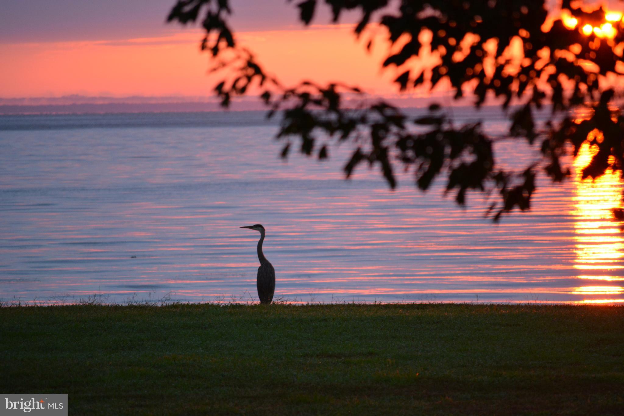 WITTMAN - Residential