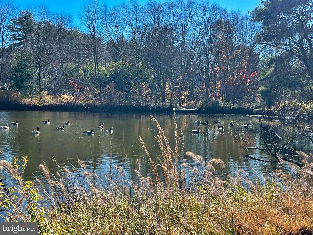 CENTER COURT - Residential