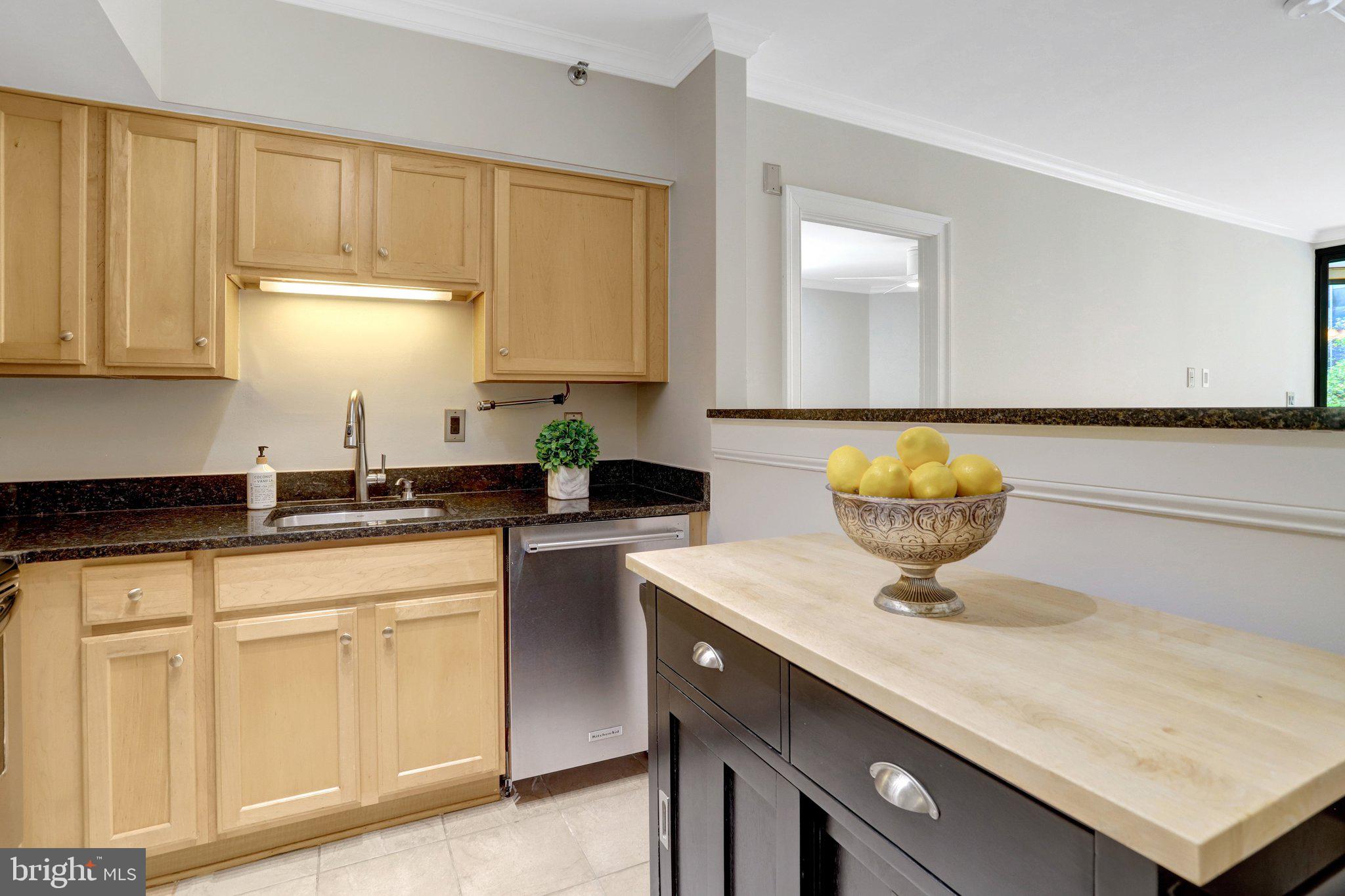 1001 N RANDOLPH STREET 302