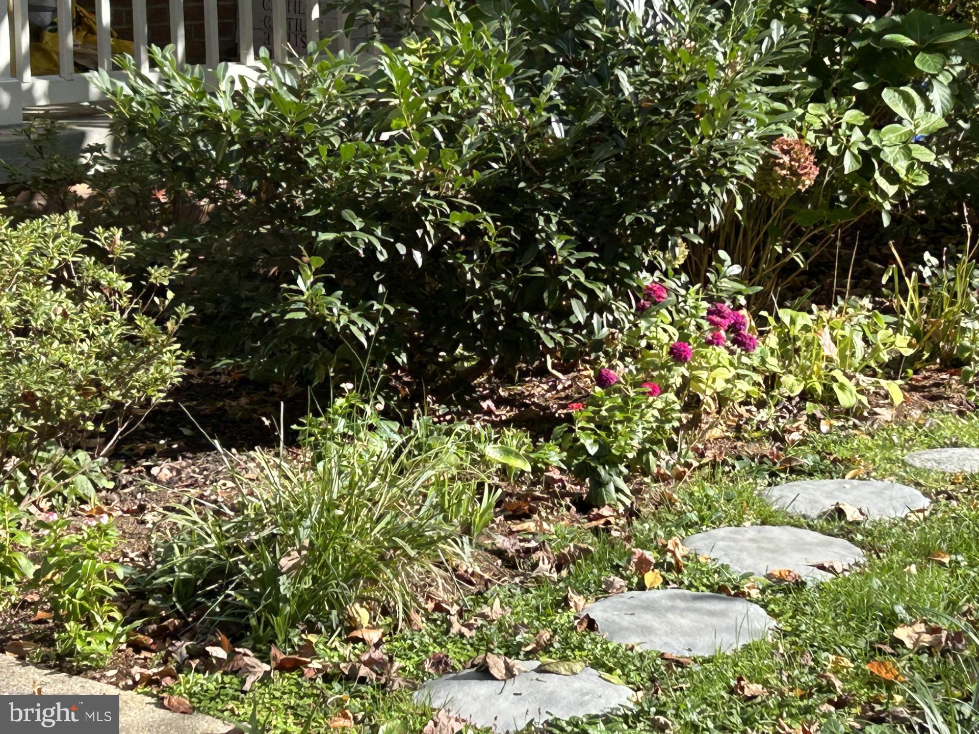 12255 TILDENWOOD DRIVE