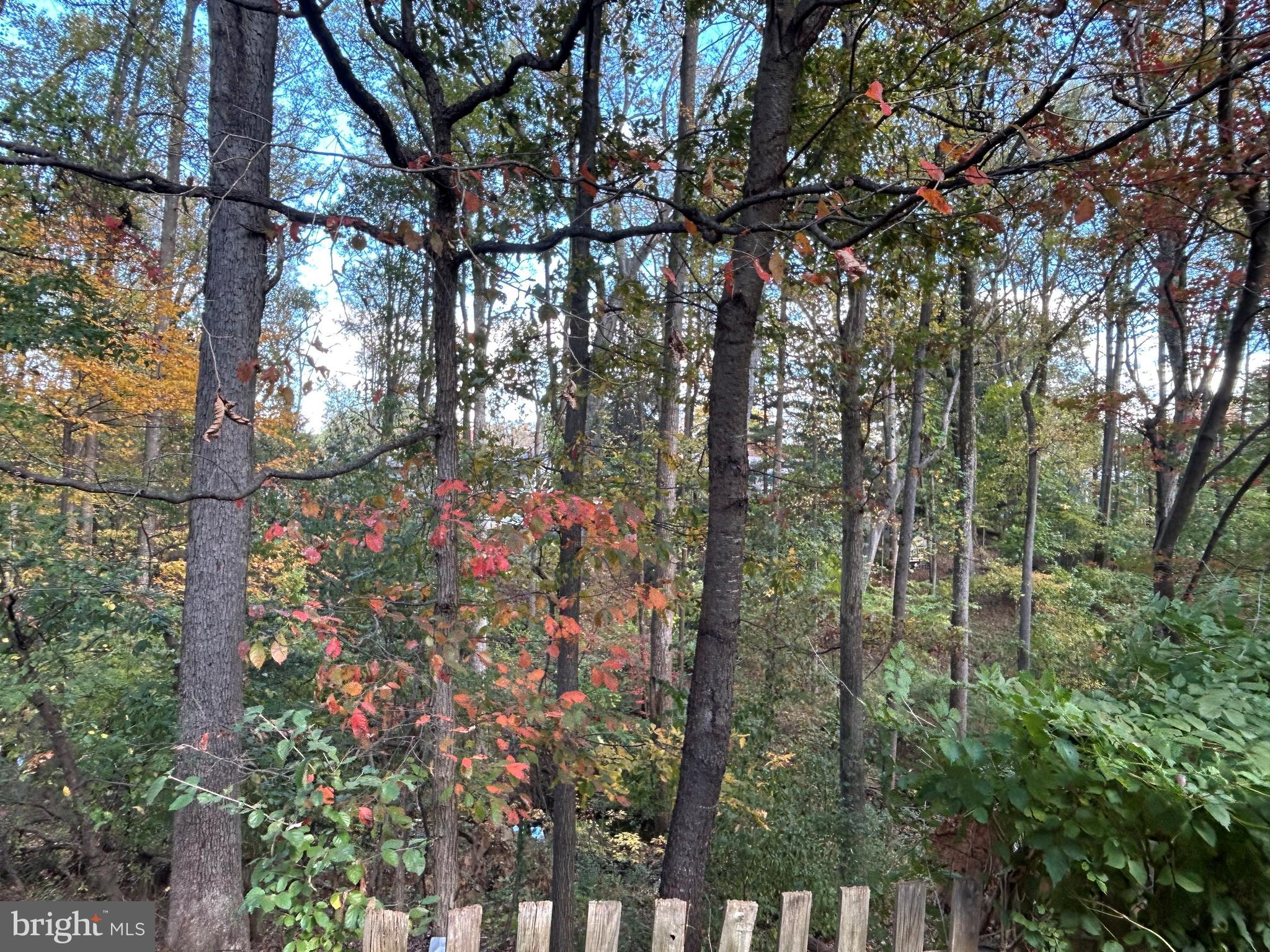 12255 TILDENWOOD DRIVE