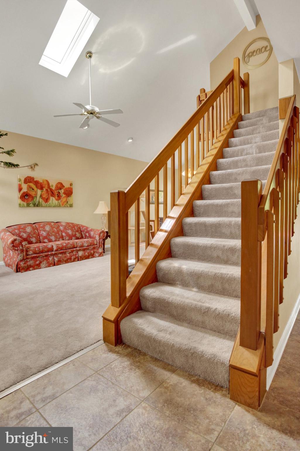 6504 CARMEN COURT