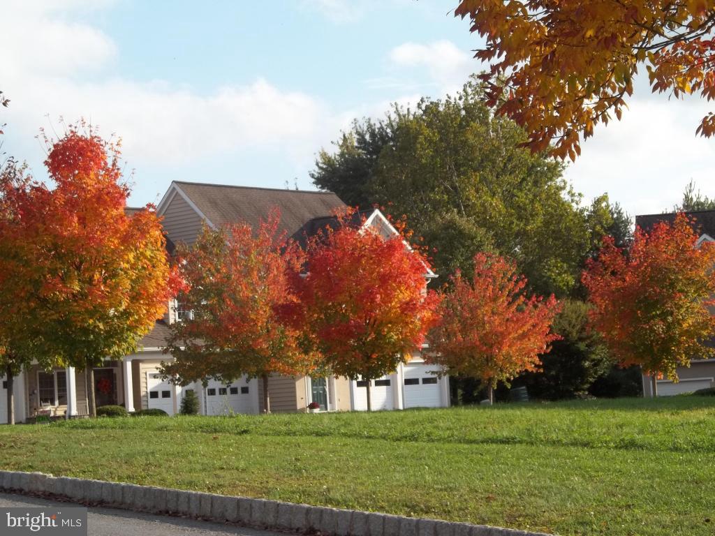 WILLOW BEND FARM - Residential