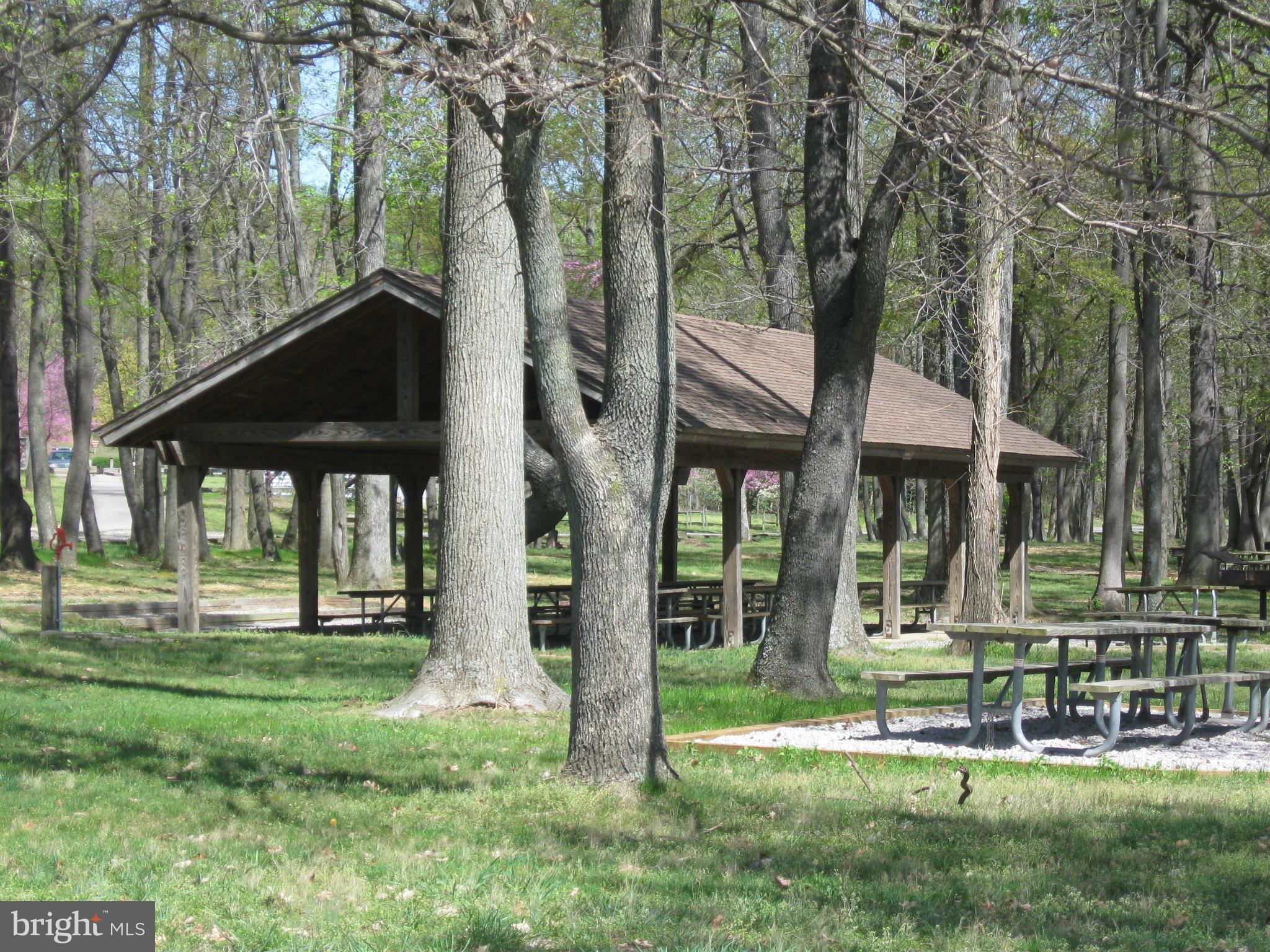 NEWPORT - Residential Lease