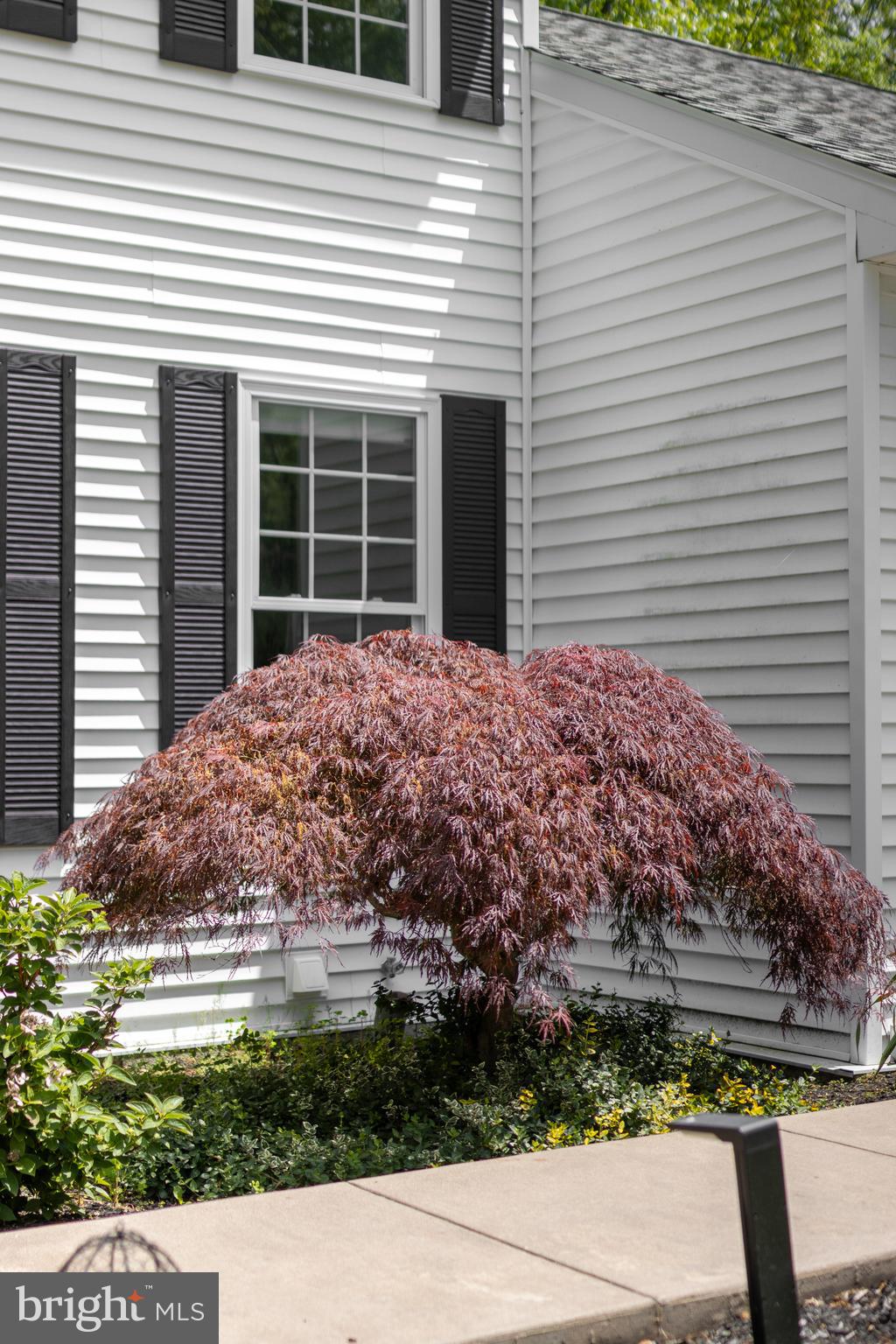 PARK FOREST VILLAGE - Residential