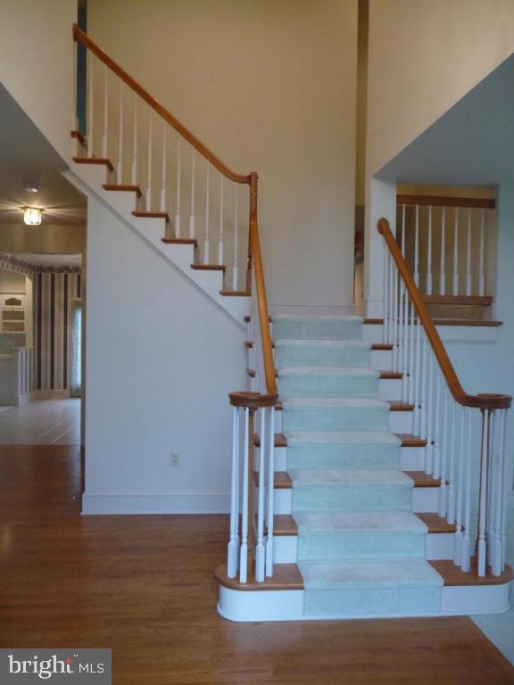 THE MEADOWS - Residential