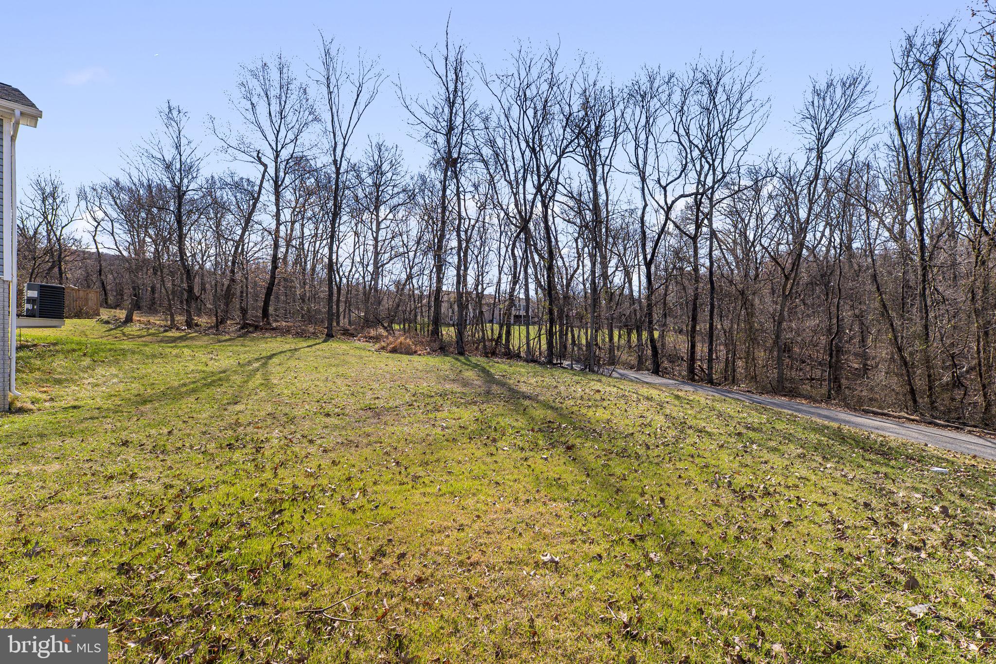 SHENANDOAH NORTH - Residential