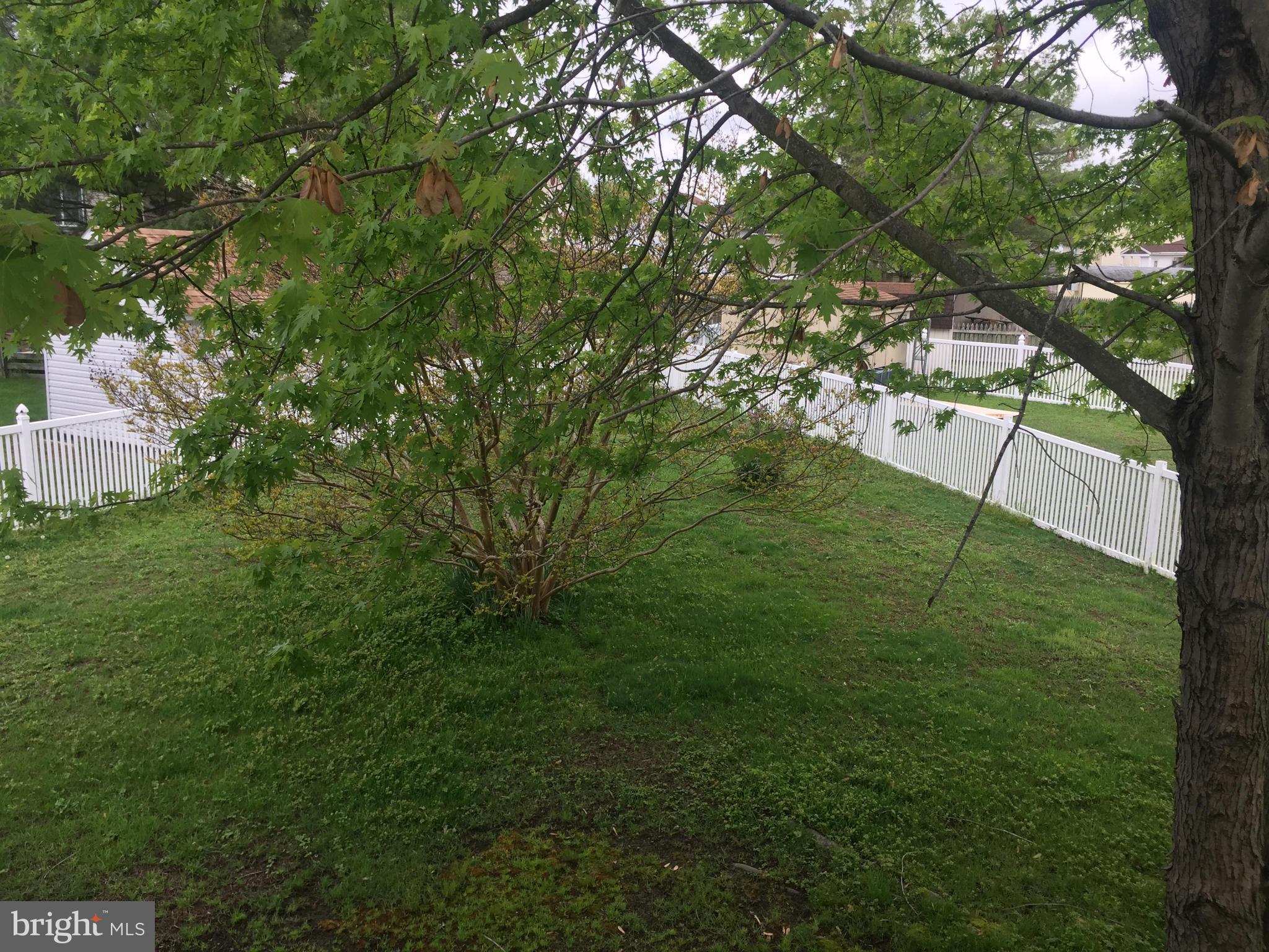 CUNNINGHILL COVE - Residential