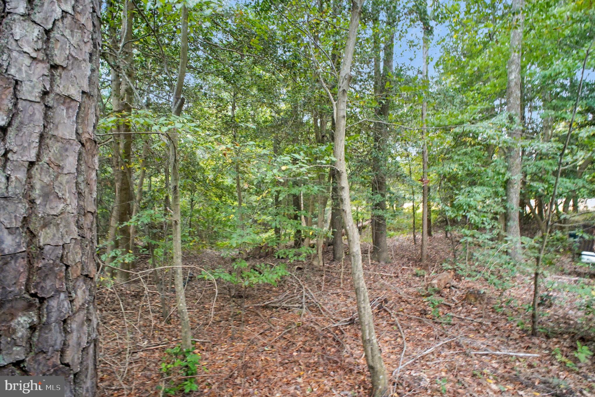 STRATFORD HARBOUR - Residential