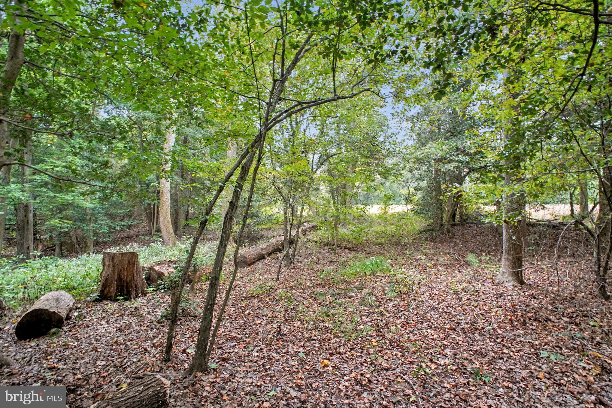 STRATFORD HARBOUR - Residential