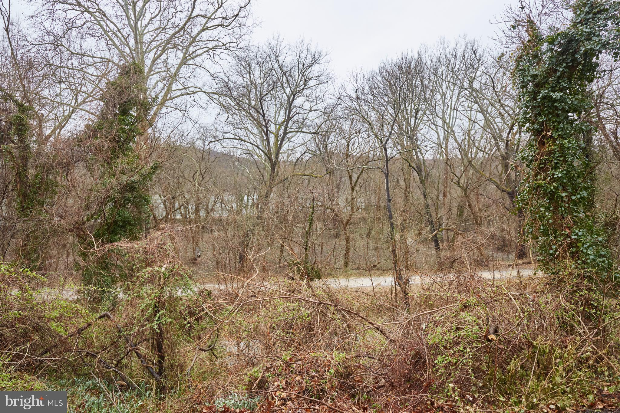 CABIN JOHN PARK - Residential