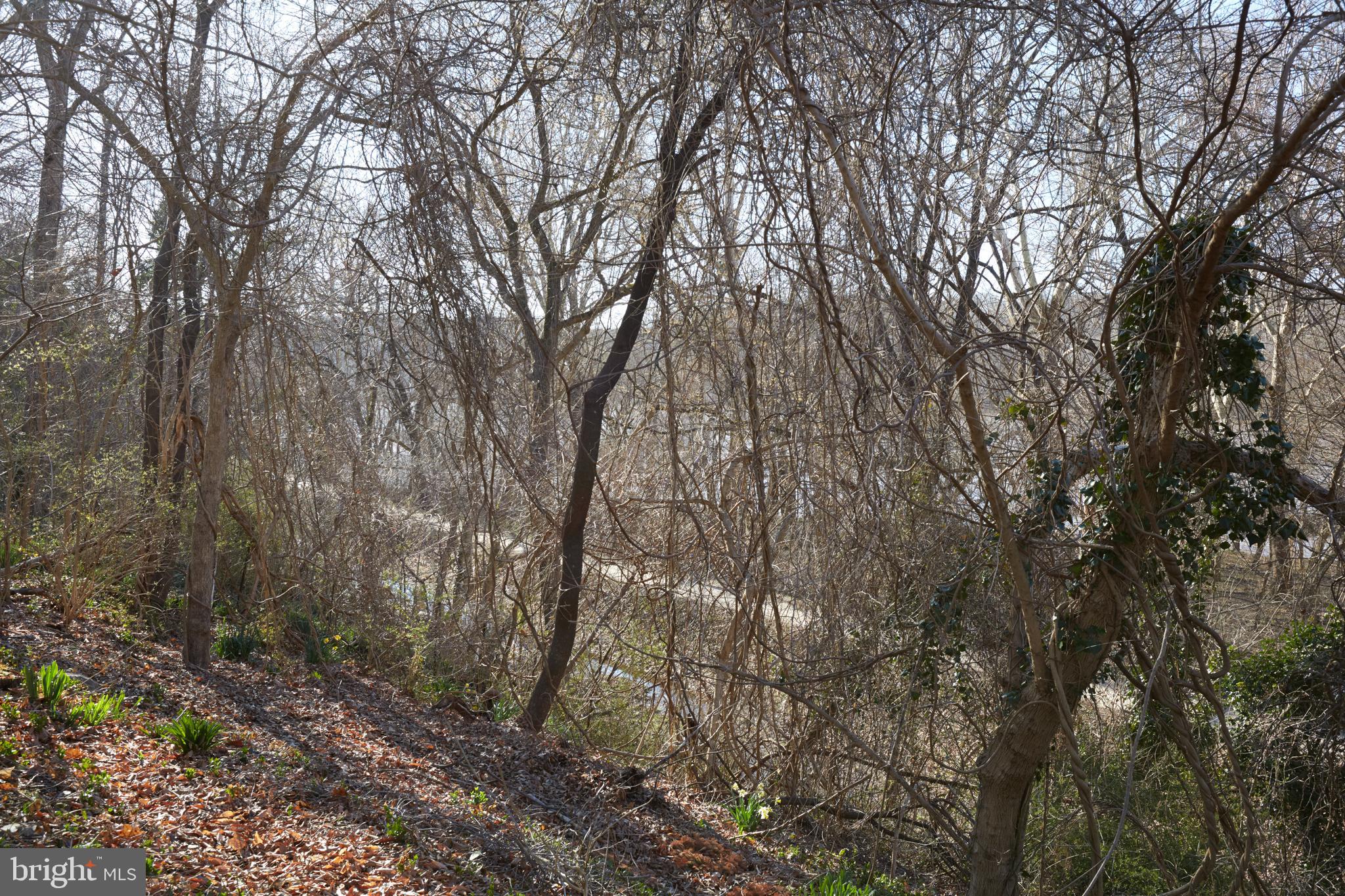 CABIN JOHN PARK - Residential